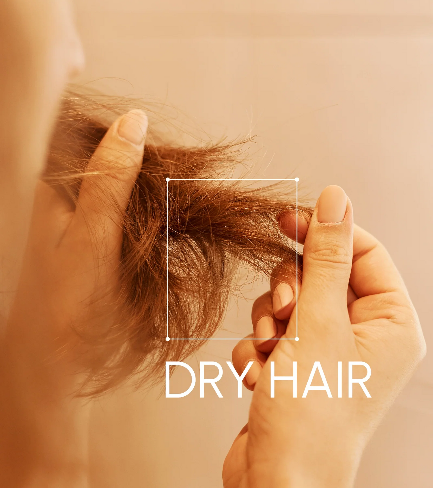Dry Hair